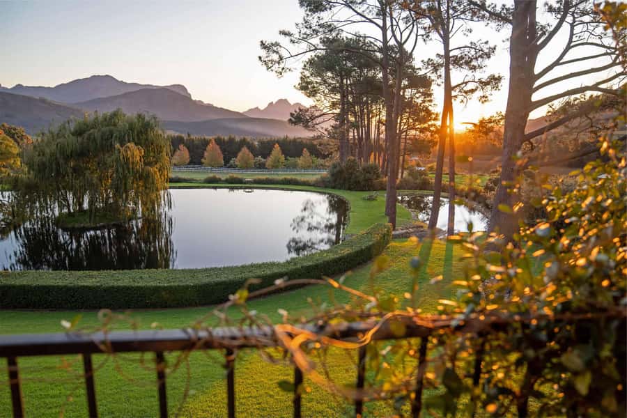 Private Winelands Immersive Experience Full Day - Setting out from Cape Town