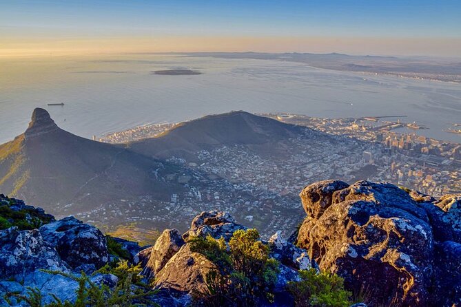Robben Island and Table Mountain Cableway with Bo-Kaap Day Tour - Should you book it?