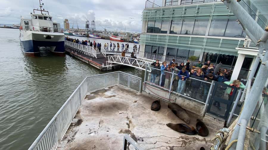 Robben Island Half Day Tour with Pre-Booked Ticket - Starting at the Nelson Mandela Gateway