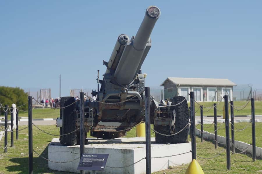 Robben Island Museum and Cape Town City Tour - Should you book the Robben Island and Cape Town tour?