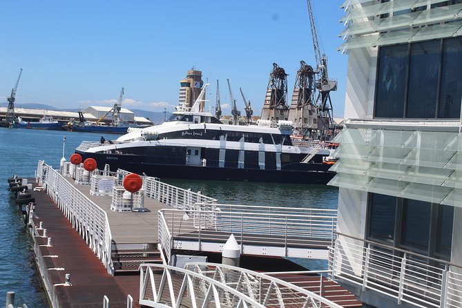 Robben Island Nelson Mandela's Prison Museum + Township Tour incl Ferry Tickets - Who should book this Cape Town day tour