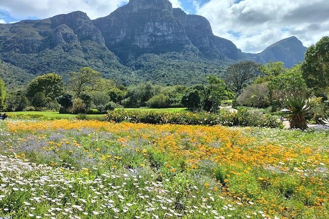 Robben Island, Table Mountain and kirstenbosch from Cape Town - What the guide adds