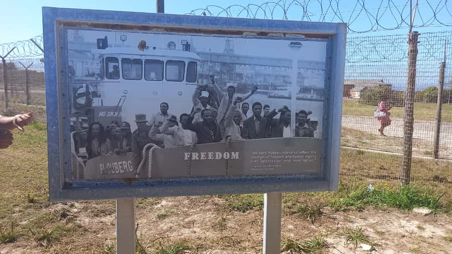 Robben Island,Table Mountain Full day Private Tour Cape Town - What the private format adds