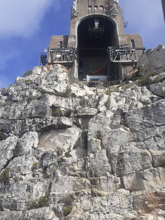 Robben Island,Table Mountain Full day Private Tour Cape Town - Guides and language options