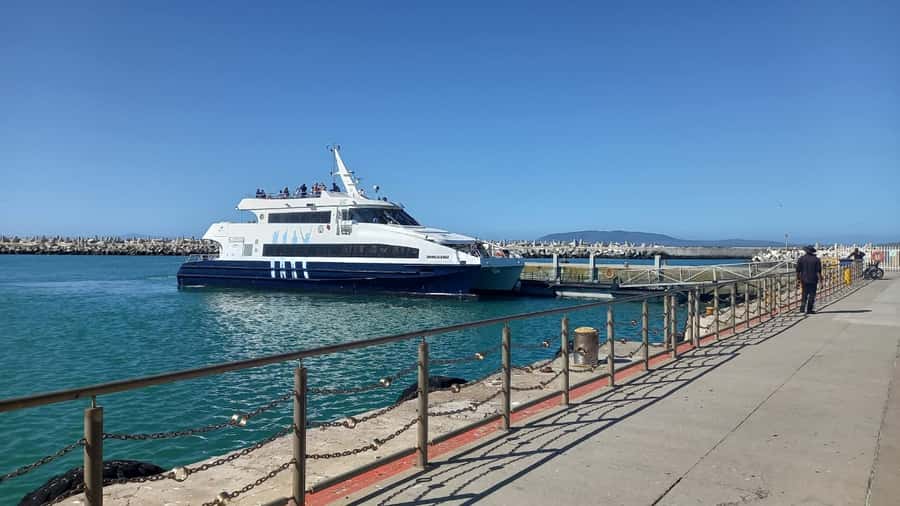 Robben Island,Table Mountain Full day Private Tour Cape Town - Lunch at the Waterfront gives you a useful pause