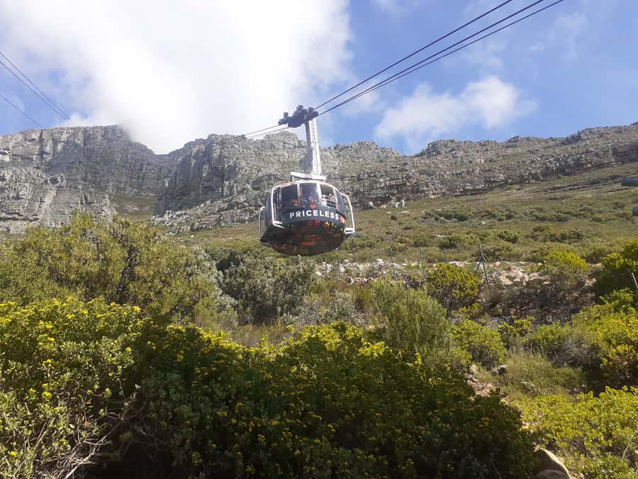 Robben Island, Table Mountain & Kirstenbosch, From Cape Town - Kirstenbosch adds plants, paths, and a calmer pace
