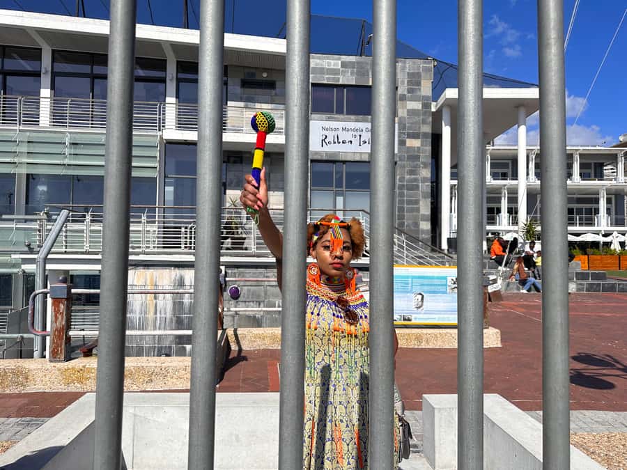 Robben Island Tickets, Penguins, and Private Cape Point Tour - Cape Point and the lighthouse choice