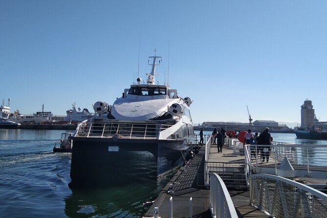 Robben Island Tour including Pick Up & Drop Off from Cape Town - How Much Time Should You Allow?