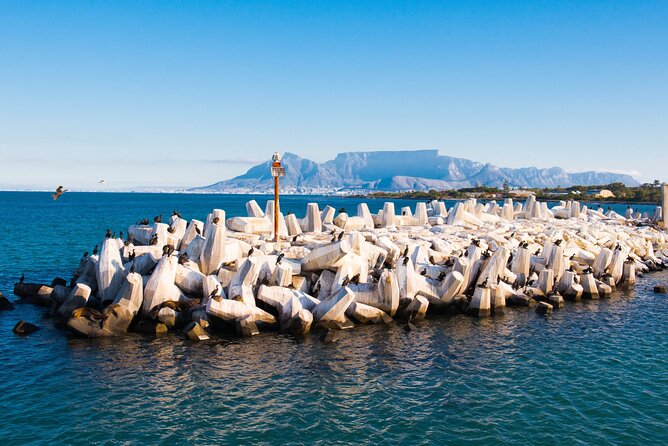 Robben Island Tour; Pickup, Drop-off; Guided Tour Historic Prison - Key points to know before booking