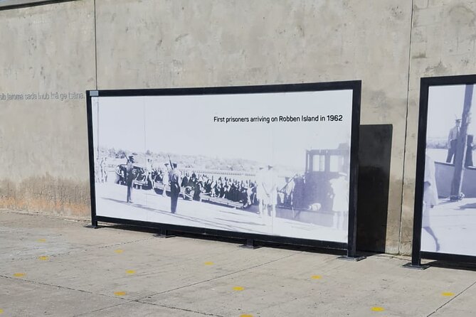 ROBBEN ISLAND with Pre-Booked Tickets Half day tour - Timing, group size, and physical demands