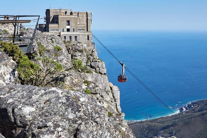 Robben Island with Tickets & Iconic Table Mountain Full Day Tour - Company’s Gardens and a look at old Cape Town