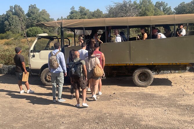 SAFARI Aquila Game Reserve - Round trip + Lunch incl. (Cape Town) - Lunch and welcome drinks at 3:00 p.m.