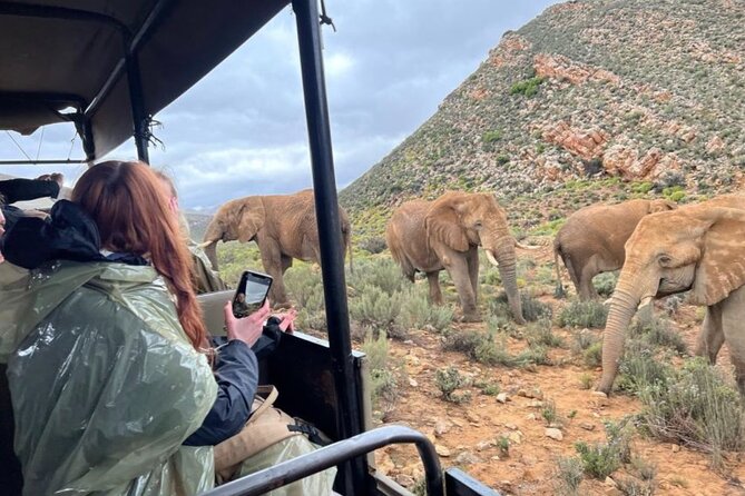 SAFARI Aquila Game Reserve - Round trip + Lunch incl. (Cape Town) - Arriving at Aquila Private Game Reserve