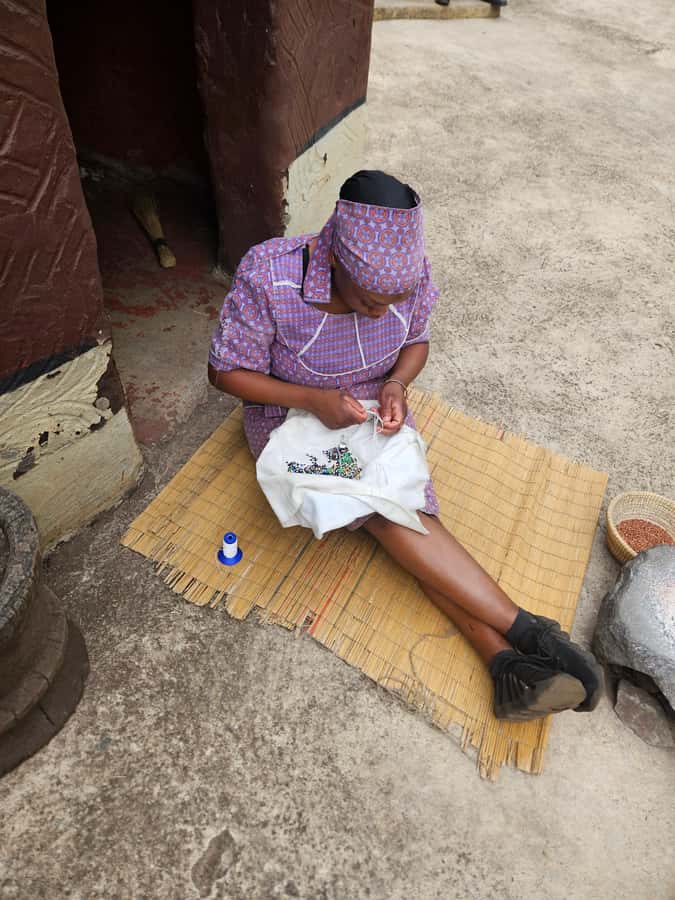 Safari at Lion and Rhino Park / Lesedi Culture Village - Should you book it?