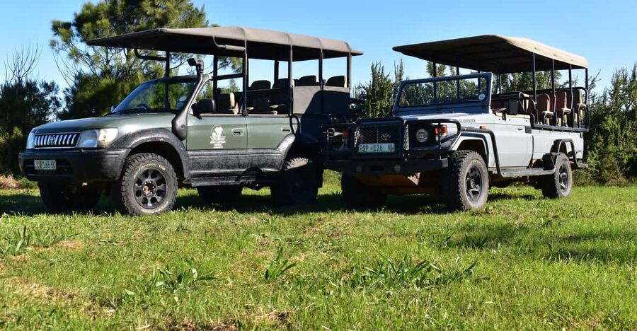 Safari into Schotia Full Day Tour - What the guiding adds