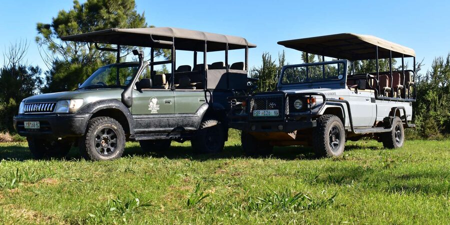 Safari into Schotia Full Day Tour - The braai lunch is part of the experience