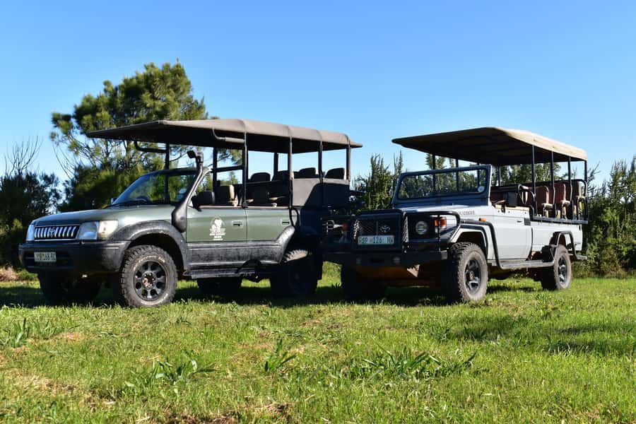 Safari into Schotia Full Day Tour - Riding in an open safari vehicle