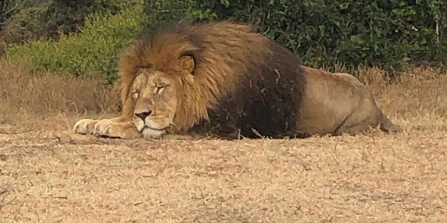 Safari into Schotia Half Day Tour - Simple rules that protect the reserve
