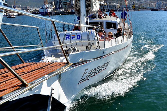 Sailing in The Bay by Catamaran (One Hour) - What the hour feels like onboard