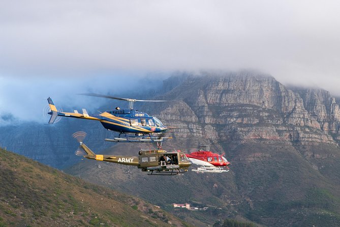 Scenic Cape Point Helicopter Tour from Cape Town - What the 48-minute flight feels like in practical terms