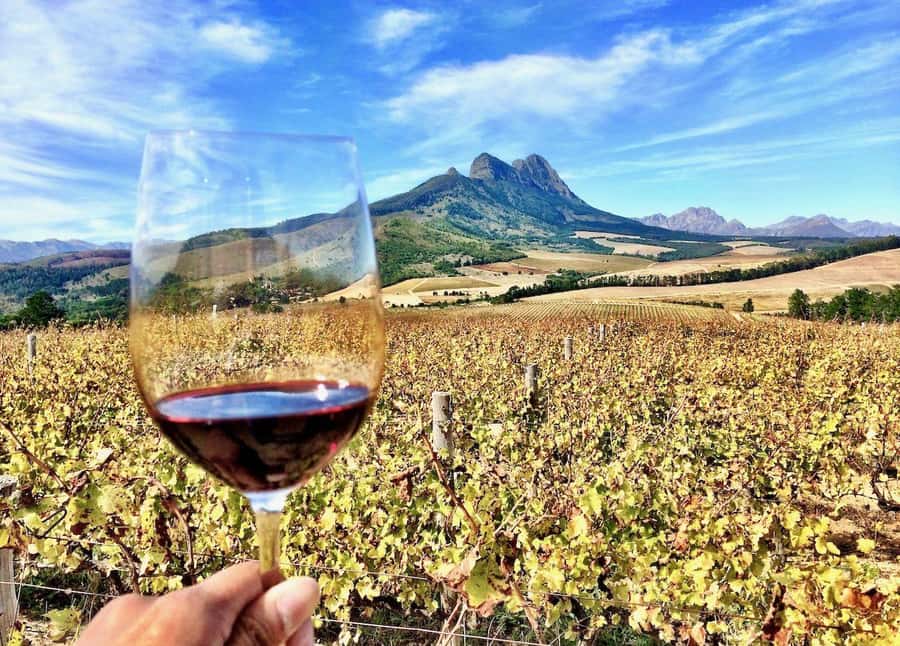 SCHEDULED FRANSCHHOEK WINE TRAM EXPERIENCE (by group size) - Should you book the Franschhoek wine tram?