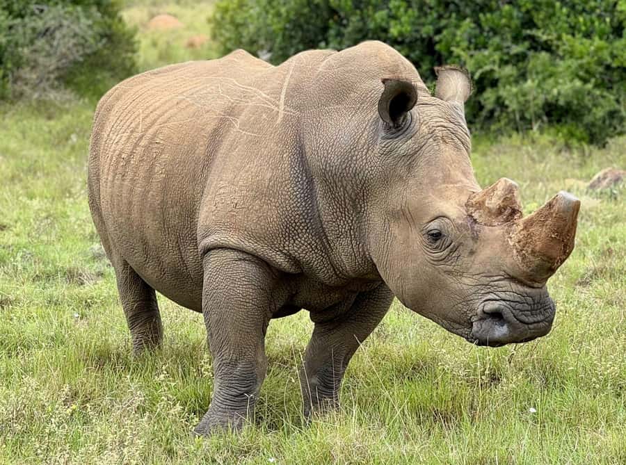 Schotia Private Game Reserve Safari - Who will enjoy this safari most