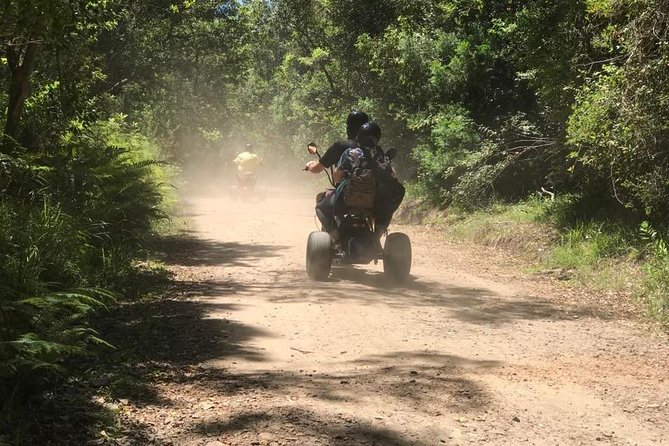 Scooter Tours through Tsitsikamma National Park - What the guide adds