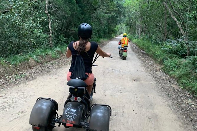 Scooter Tours through Tsitsikamma National Park - Following the forest tracks