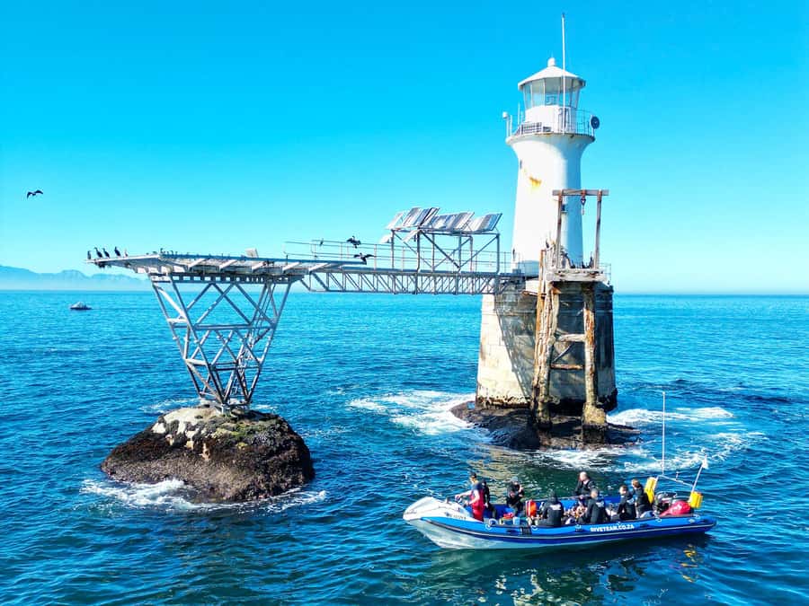 Scuba Dive in Cape Town: 2 Dives for certified divers - Simon’s Town is your launch point