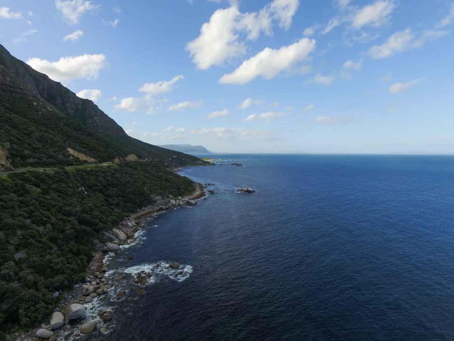 Scuba Dive in Cape Town: 2 Dives for certified divers - Back at the centre: showers, logbooks, and fish identification