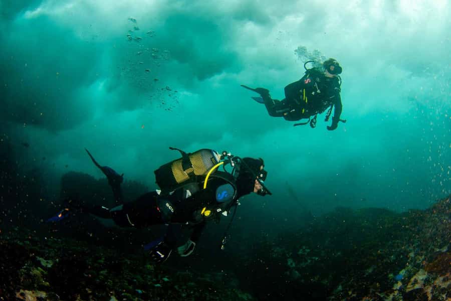 Scuba Dive in Cape Town: 2 Dives for certified divers - Who will enjoy this most