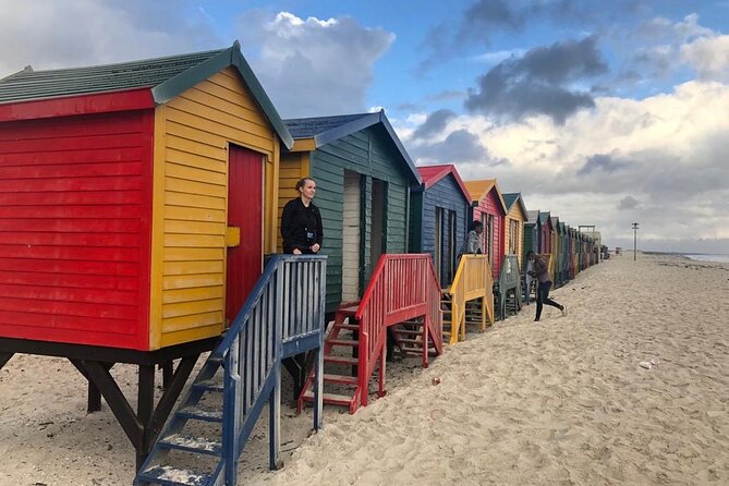 Seal Island,Cape of Good Hope&Penguins Shared Tour,From Cape Town - Noordhoek and the ostrich farm pause