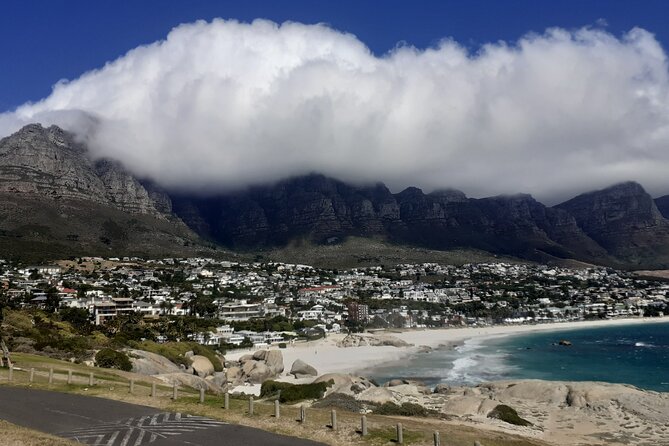Seal Island,Cape of Good Hope&Penguins Shared Tour,From Cape Town - Cape Point requires extra planning