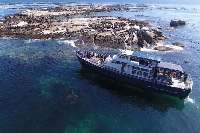 Seal Island,Cape of Good Hope&Penguins Shared Tour,From Cape Town - The Cape of Good Hope sign is a quick stop
