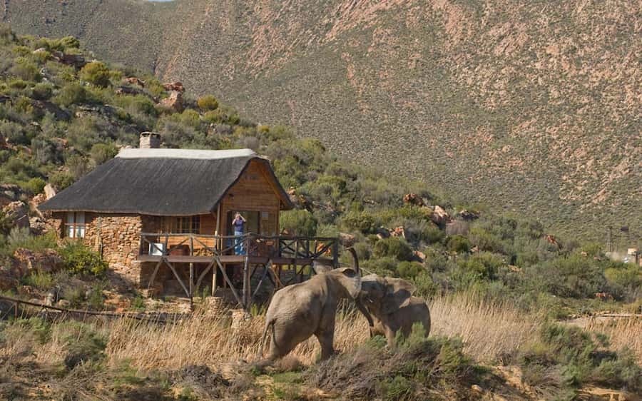 Self drive Aquila Safari Game Reserve Sunset Game Drive - Why Aquila works well from Cape Town
