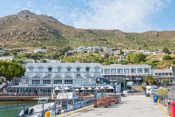Shared Half Day Tour in Cape Peninsula with African Penguins - The practical cost of a $40.98 tour
