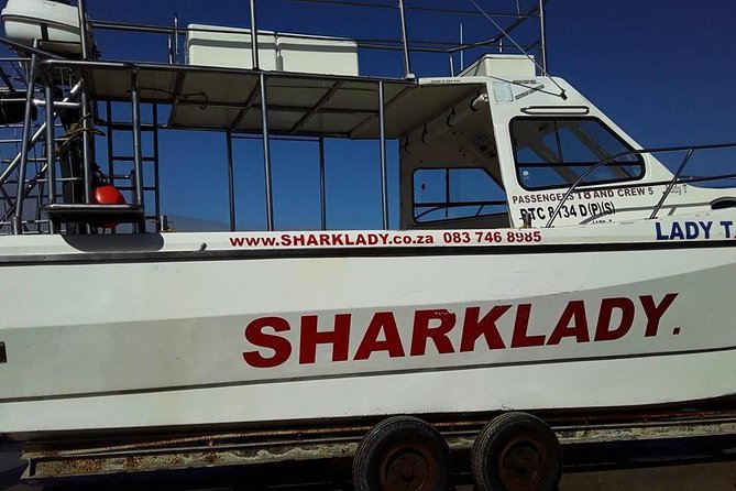 Shark Cage Diving - Meeting Great Whites off Van Dyks Bay