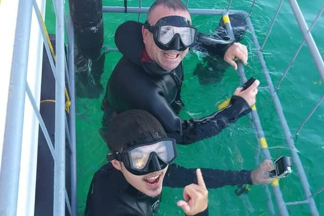 Shark Cage Diving - Surface viewing is a real part of the adventure