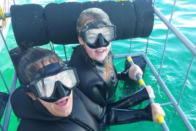 Shark Cage Diving - Weather, cancellations, and the best way to plan