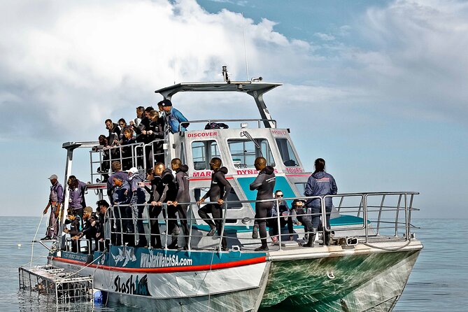 Shark Cage Diving and Viewing with transport from Cape Town - What the cage experience feels like