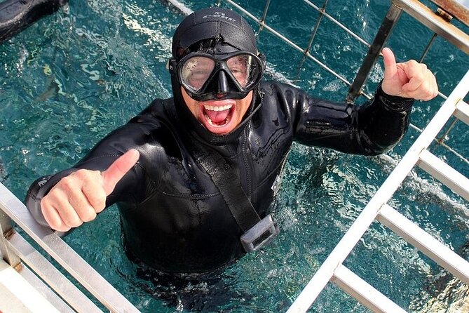 Shark Cage Diving and Viewing with transport from Hermanus - Marine Biology Makes the Time More Meaningful