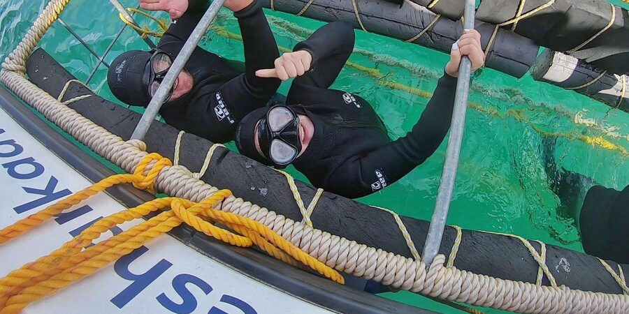 Shark & Whale Trip Combo - A full day that depends on tides and weather