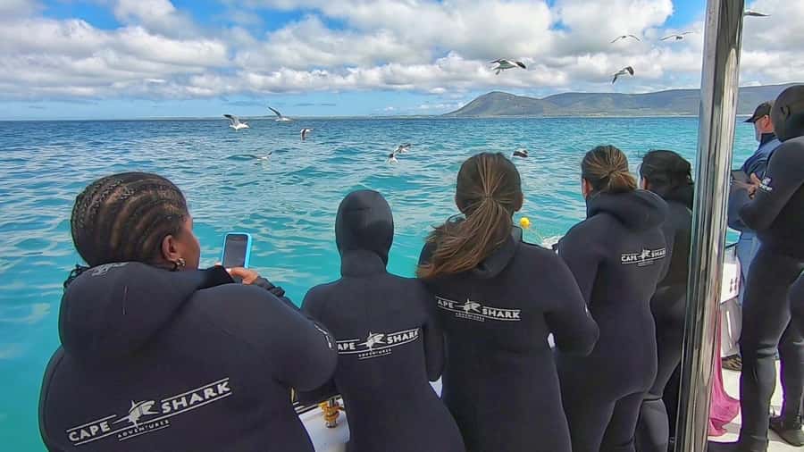 Shark & Whale Trip Combo - Who should book this combo?