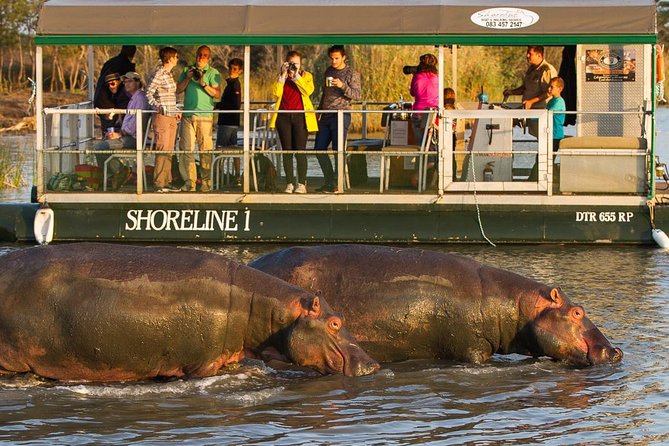 Shoreline Hippo and Crocodile Boat Cruises, iSimangaliso Wetland Park - Why Lake St Lucia is the right place for a boat cruise
