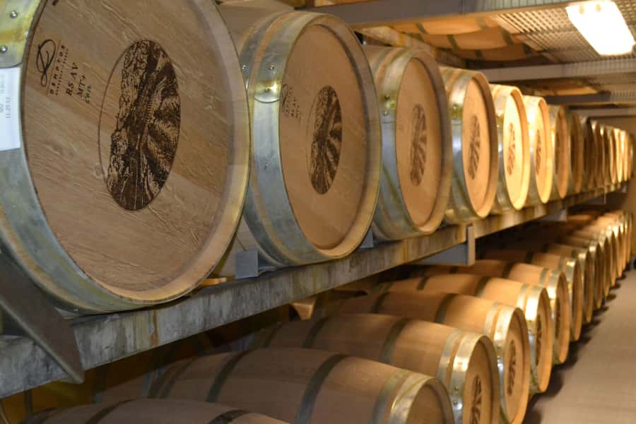Sip & Savor : A Perfect Half-day Wine Escape to Stellenbosch - Leaving Cape Town for the Winelands