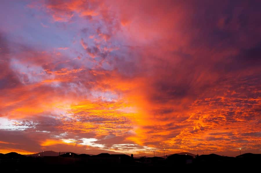Sip & Savor : A Perfect Half-day Wine Escape to Stellenbosch - Is five hours enough?