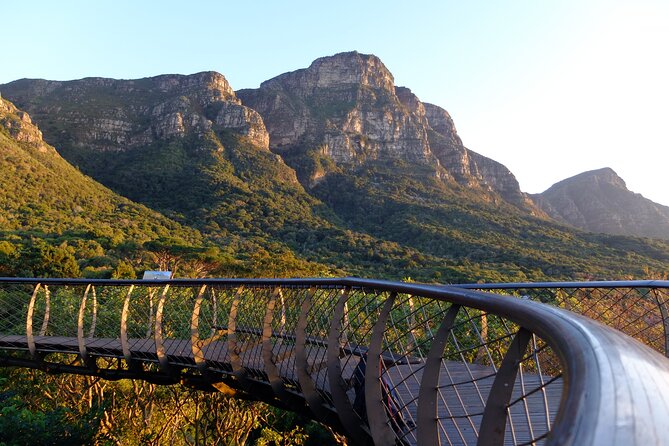 Skeleton Gorge Hike up Table Mountain - Why Skeleton Gorge is such a good way up Table Mountain
