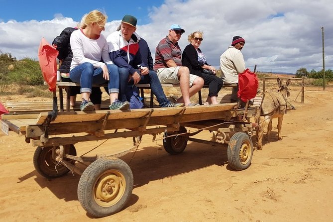 Skip the Line: Highgate Ostrich Farm Tour Ticket - The craft demonstration gives the visit context