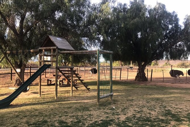 Skip the Line: Highgate Ostrich Farm Tour Ticket - The ostrich derby finishes the tour