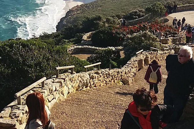Small Group Cape Of Good Hope Penguins Wine Tasting Inc Park Fees - Cape Point and the Cape of Good Hope